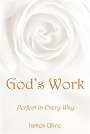 God's work. Perfect in Every Way cover image