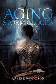 Aging storm clouds. An Assimilation Memoir cover image