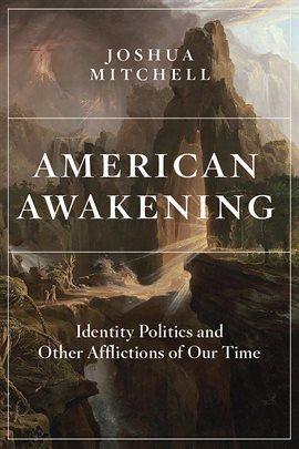 Cover image for American Awakening