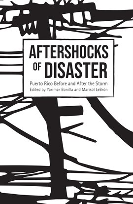 Cover image for Aftershocks of Disaster