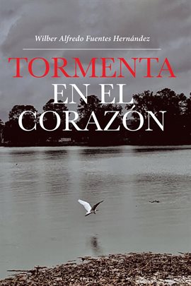 Cover image for Tormenta En El Corazón