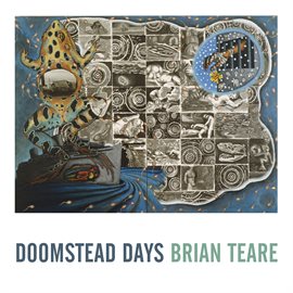 Cover image for Doomstead Days