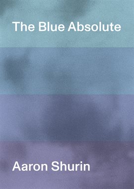 Cover image for The Blue Absolute