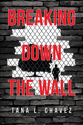 Cover image for Breaking Down the Wall
