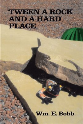 Cover image for 'tween a Rock and a Hard Place
