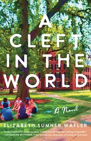 A Cleft in the World : A Novel cover image