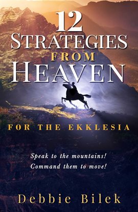 Cover image for 12 Strategies for Heaven