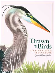 DRAWN TO BIRDS : a naturalist's sketchbook cover image