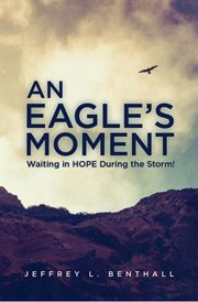 An eagle's moment. Waiting in HOPE During the Storm! cover image