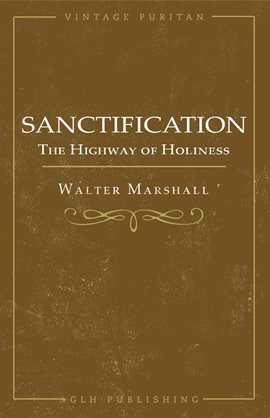 Cover image for Sanctification; The Highway of Holiness