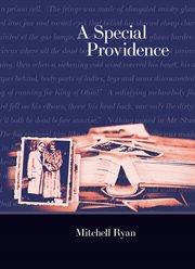 A Special Providence cover image