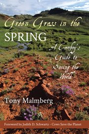 Green grass in the spring cover image