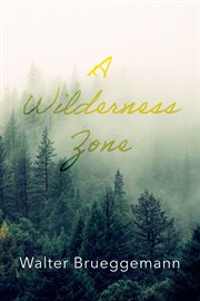 A Wilderness Zone : and other essays cover image