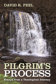 PILGRIM'S PROCESS cover image