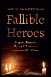 Fallible heroes cover image
