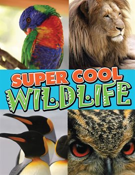 Cover image for Super Cool Wildlife