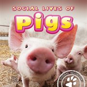 Social Lives of Pigs Social Lives of Pigs