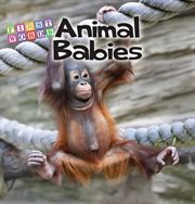 Animal Babies Animal Babies
