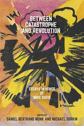 Cover image for Between Catastrophe and Revolution