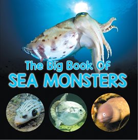 Cover image for The Big Book Of Sea Monsters (Scary Looking Sea Animals)