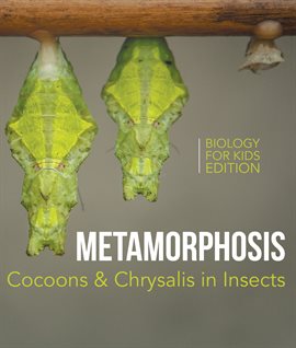 Imagen de portada para Metamorphasis