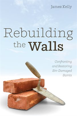 Cover image for Rebuilding the Walls