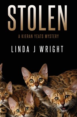 Cover image for Stolen