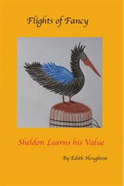 Sheldon learns his value cover image