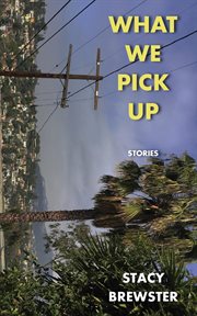 What we pick up cover image