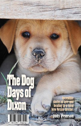 Cover image for The Dog Days of Dixon
