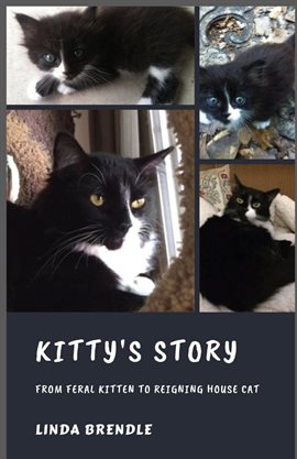 Cover image for Kitty's Story