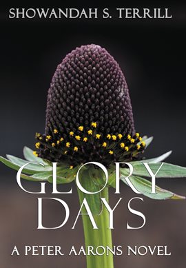 Cover image for Glory Days