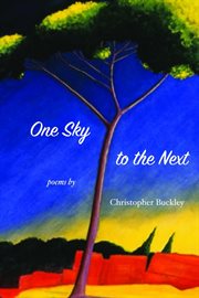 One sky to the next cover image