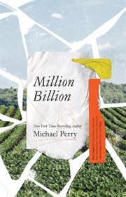 Million billion. Brief Essays on Snow Days, Spitwads, Bad Sandwiches, Dad Socks, Hairballs, Headbanging Bird Love, an cover image
