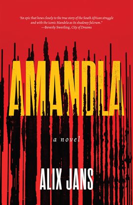 Cover image for Amandla