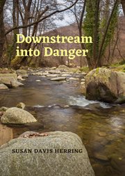 Downstream into danger cover image