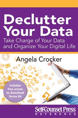 Cover image for Declutter Your Data