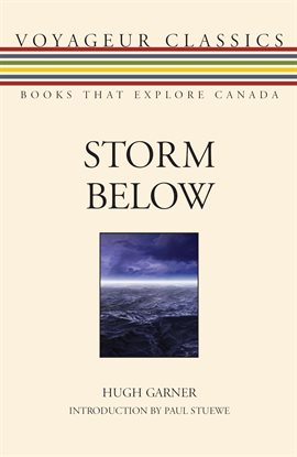 Cover image for Storm Below