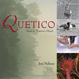 Cover image for Quetico