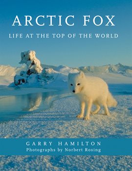 Umschlagbild für Arctic Fox