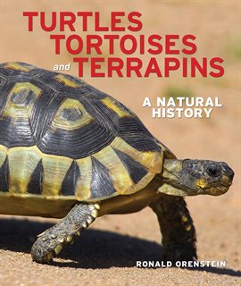 Cover image for Turtles, Tortoises and Terrapins