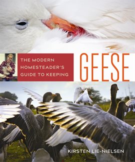 Cover image for The Modern Homesteader's Guide to Keeping Geese