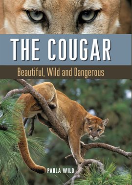 Cover image for The Cougar