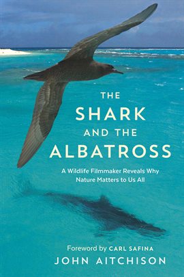 Cover image for The Shark and the Albatross