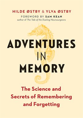 Cover image for Adventures in Memory