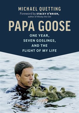 Image de couverture de Papa Goose
