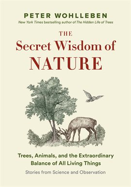 Cover image for The Secret Wisdom of Nature