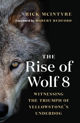 Cover image for The Rise of Wolf 8