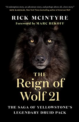Cover image for The Reign of Wolf 21