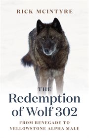 The redemption of wolf 302. From Renegade to Yellowstone Alpha Male cover image